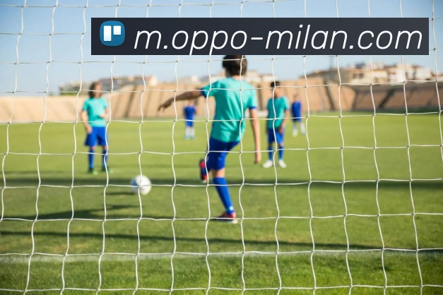 米兰体育平台生态图