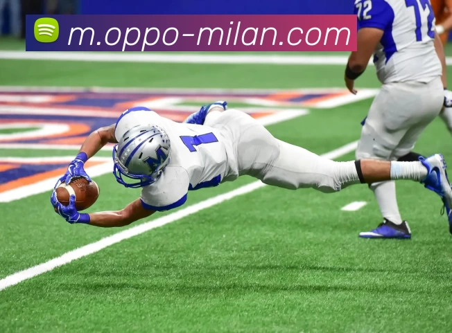 米兰体育APP 封面图